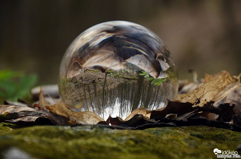 Lensball - Bükkben..