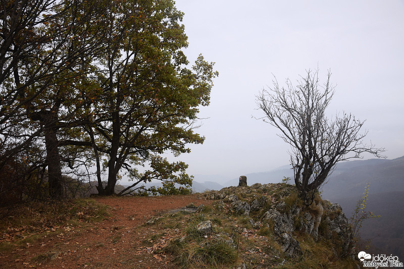 Magos Kőn.