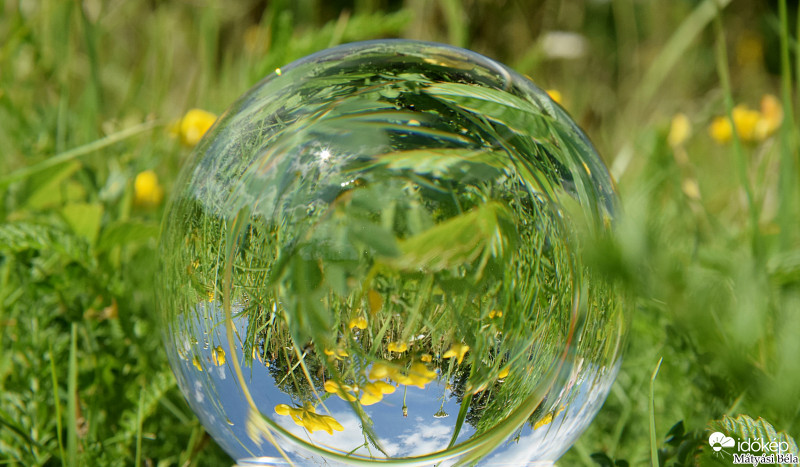 Lensball - Színek.