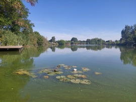 Mezőtúr