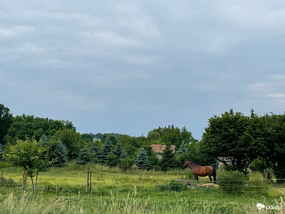 Pusztaszentlászló