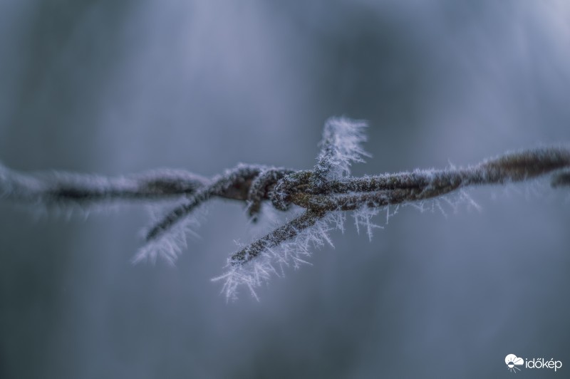 Frozen world...