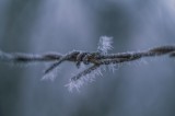 Frozen world...