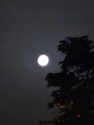 Budapest XV.ker - Újpalota