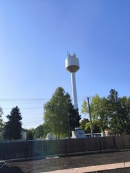 Sarud