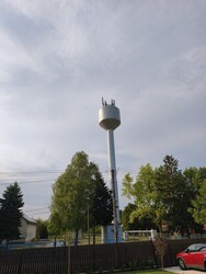 Sarud
