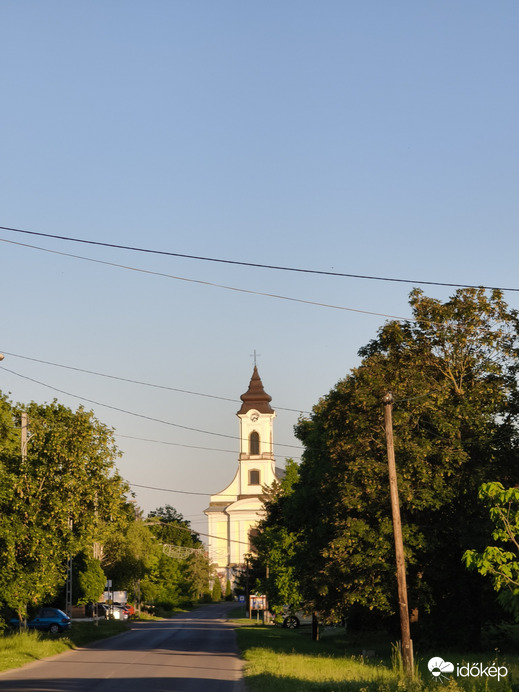 Sarud