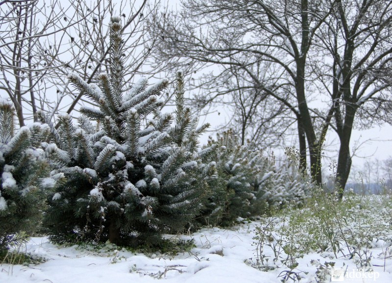Bátyán 1,5cm hó esett 2016.01.01-én