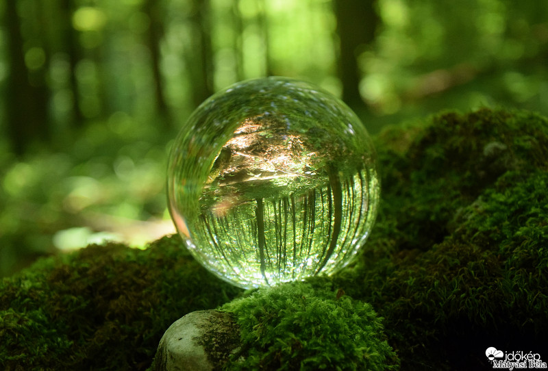 Lensball - Bükkben..