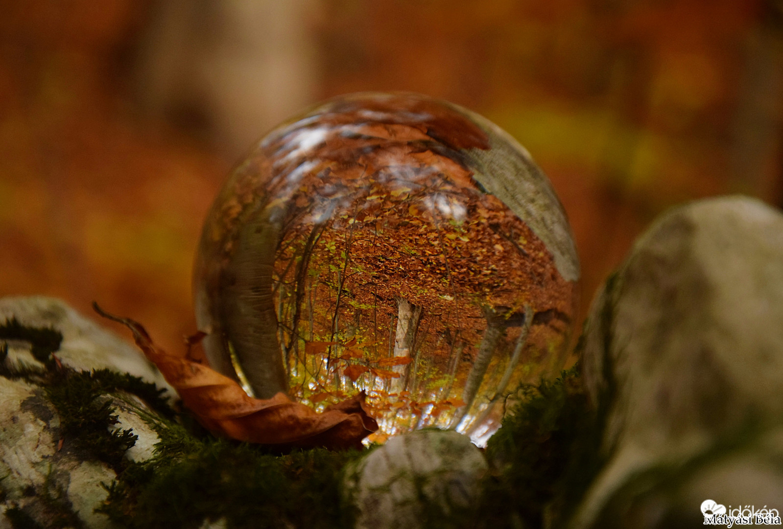 Lensball - Bükkben..