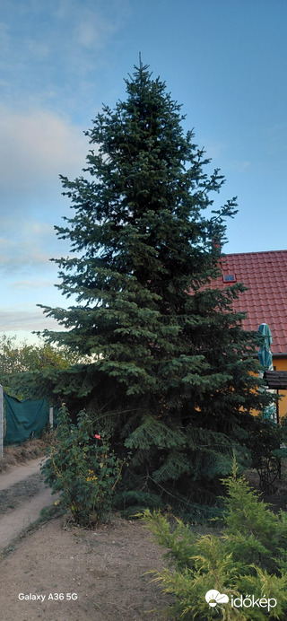 Pákozd