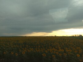 Visznek