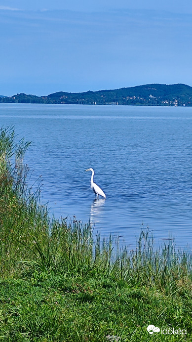 Balatonfenyves