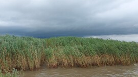 Balatonmáriafürdő