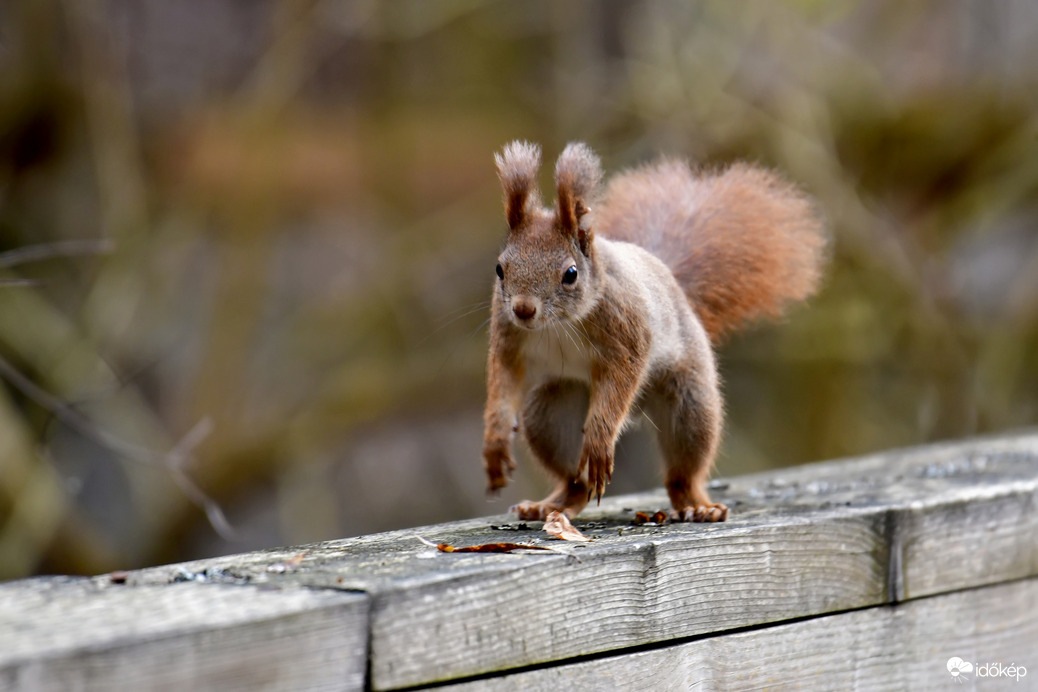 Váárj meg, jövök már! :))