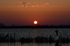 A madárijesztő reggele