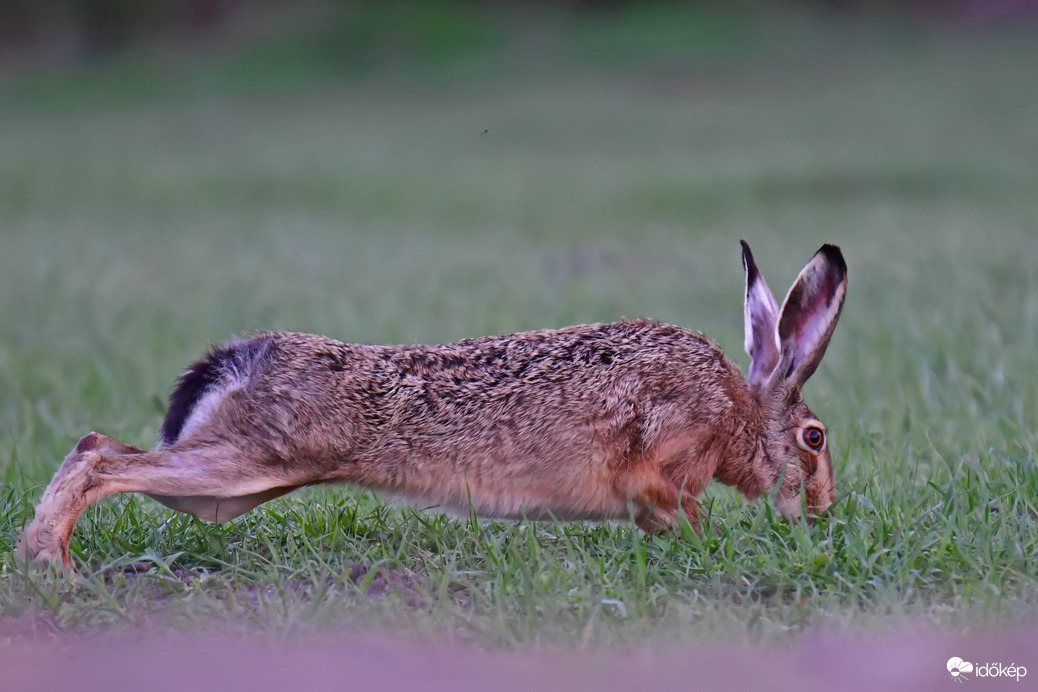 Ünnepekre gyúrok ;)