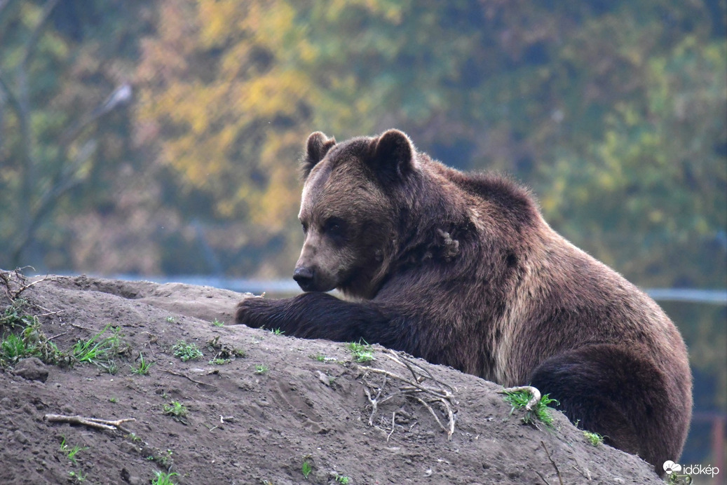 Ébresztő a téli álomból... Nincs árnyék, kint lehet maradni :)