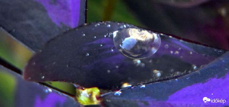 vízcsepp