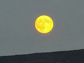 Breiðavík