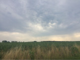 Daraboshegy