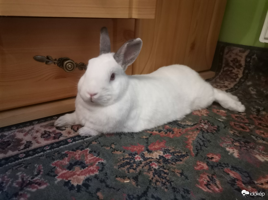 Az év utolsó pénteke