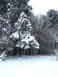 Bükkszentkereszt 2025.11.24