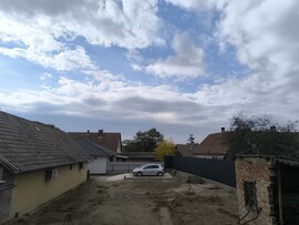 Kóka