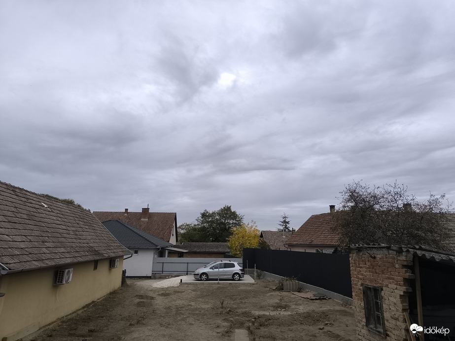 Kóka
