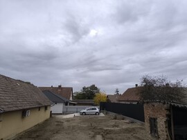 Kóka