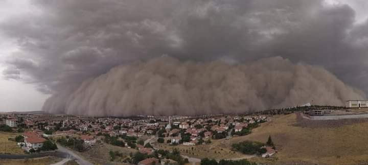 Homokvihar - Ankara