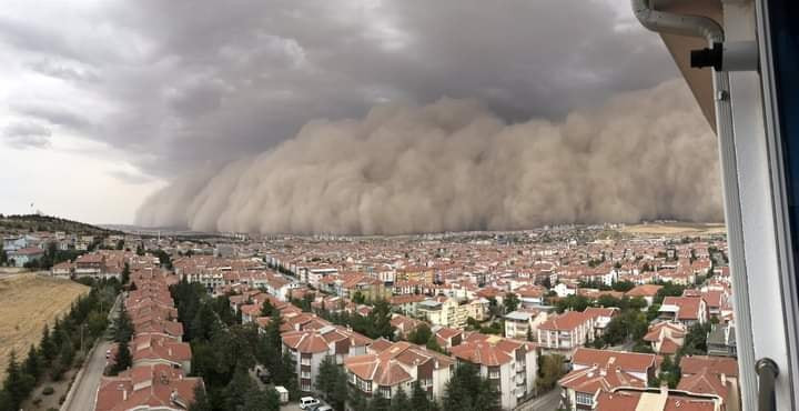 Homokvihar - Ankara