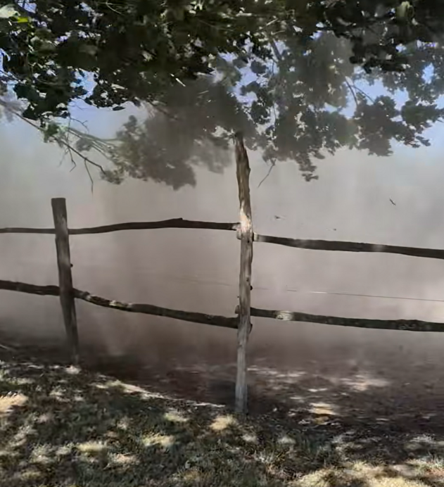 Porördög a Halápi Ranch területén