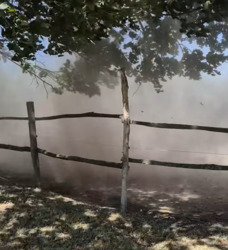 Porördög a Halápi Ranch területén