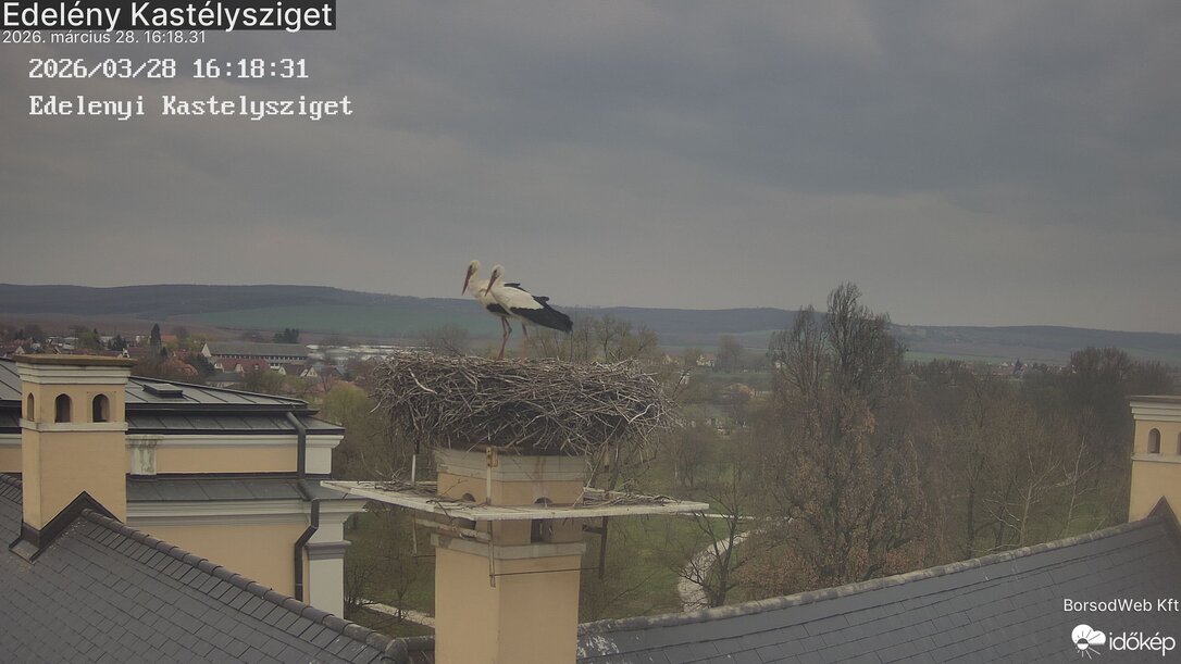 Edelényi gólyapár