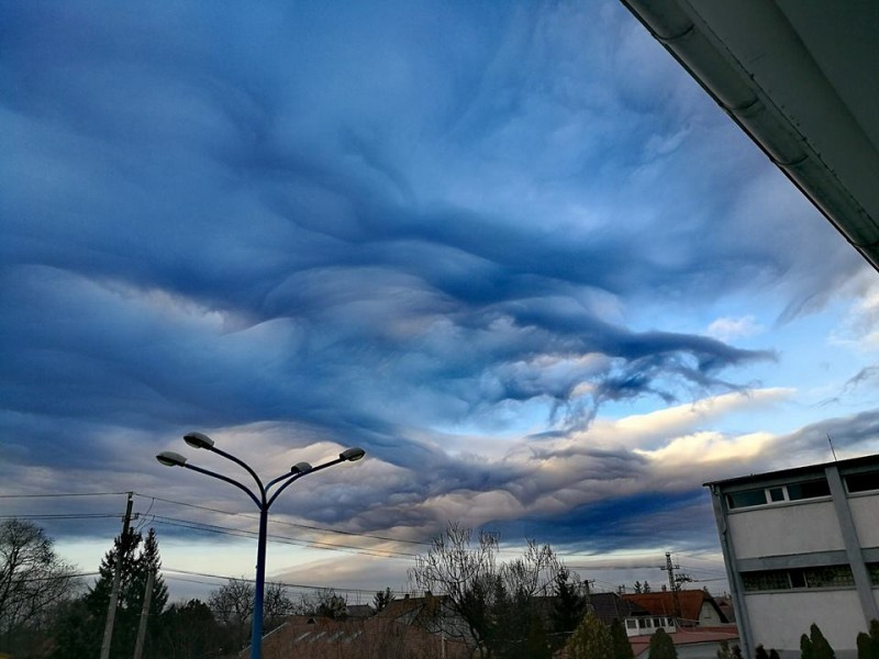 Asperatus - Mácsai Krisztina