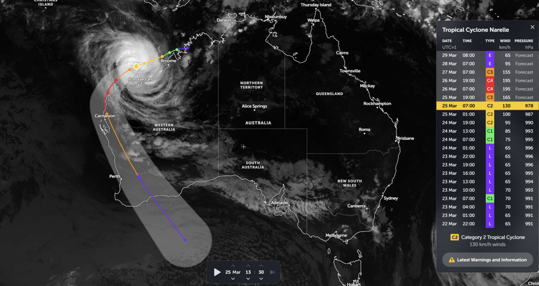 Narelle trópusi ciklon