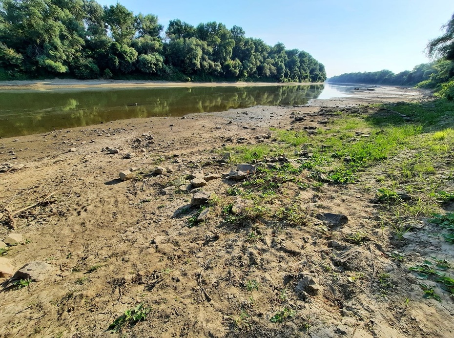 Tisza