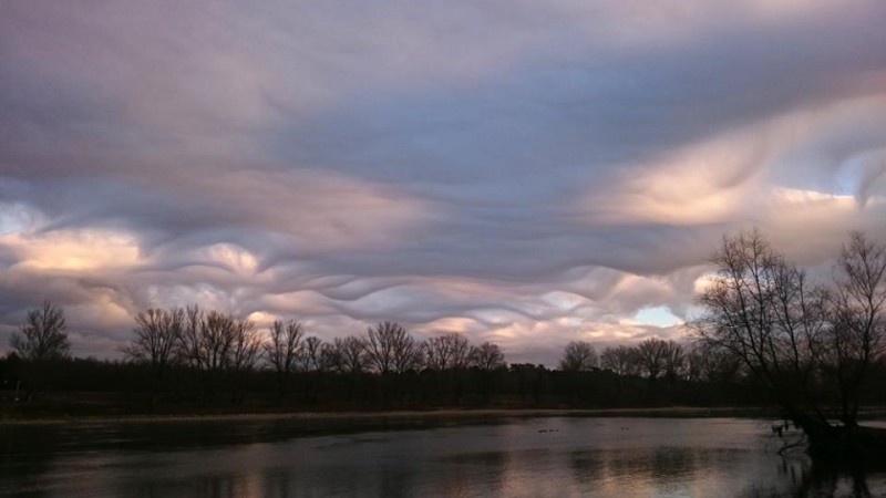 Asperatus - Hargitay Anna