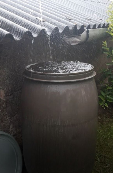 Tele a hordó