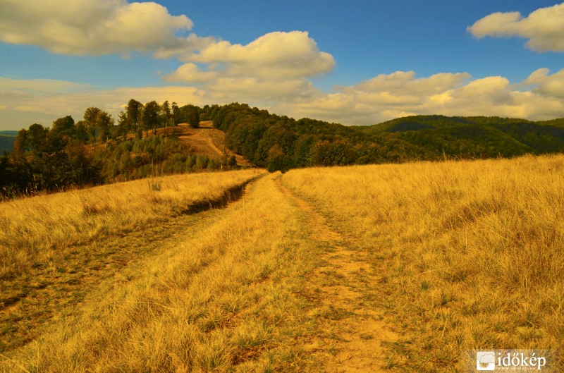 Kora ősszel... 2.