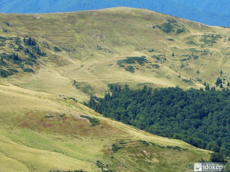 Szvidovec 
