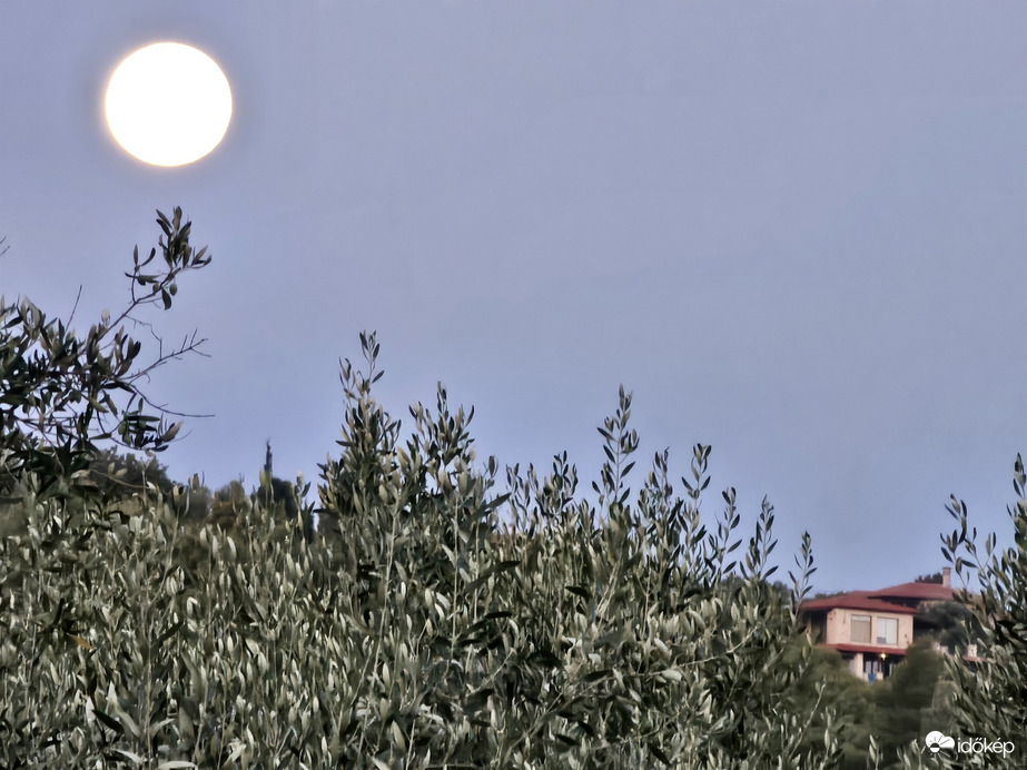 Όρμος Παναγίας