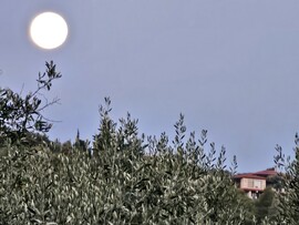 Όρμος Παναγίας