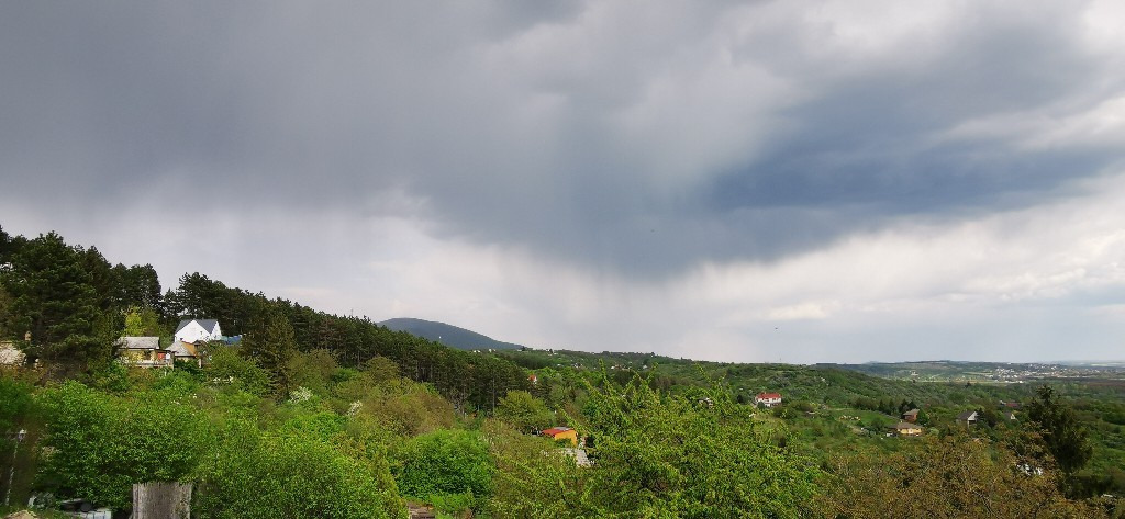 Vác-Nyulas