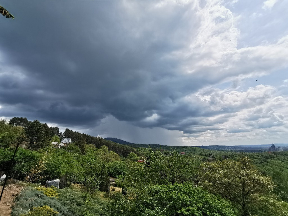 Vác-Nyulas