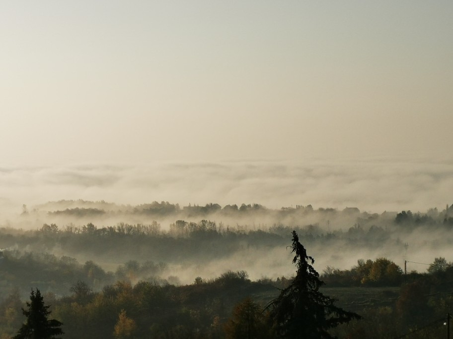 Vác-Nyulas