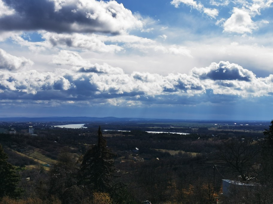 Vác-Nyulas