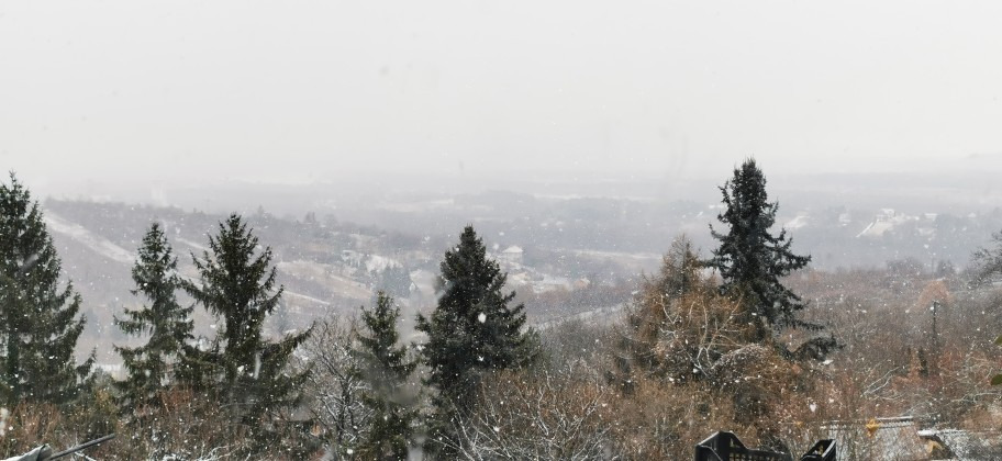 Vác-Nyulas