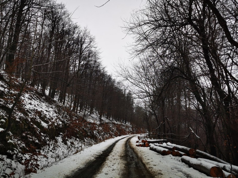 Nagy-Hideg-hegy